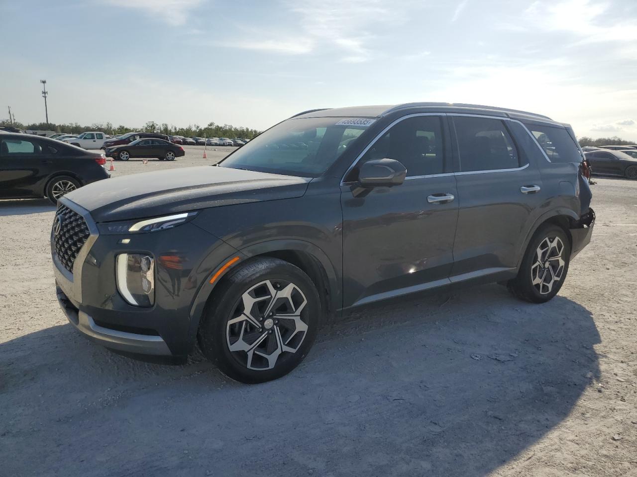 HYUNDAI PALISADE C 2022