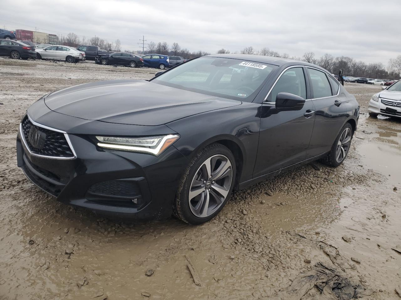 ACURA TLX ADVANC 2021