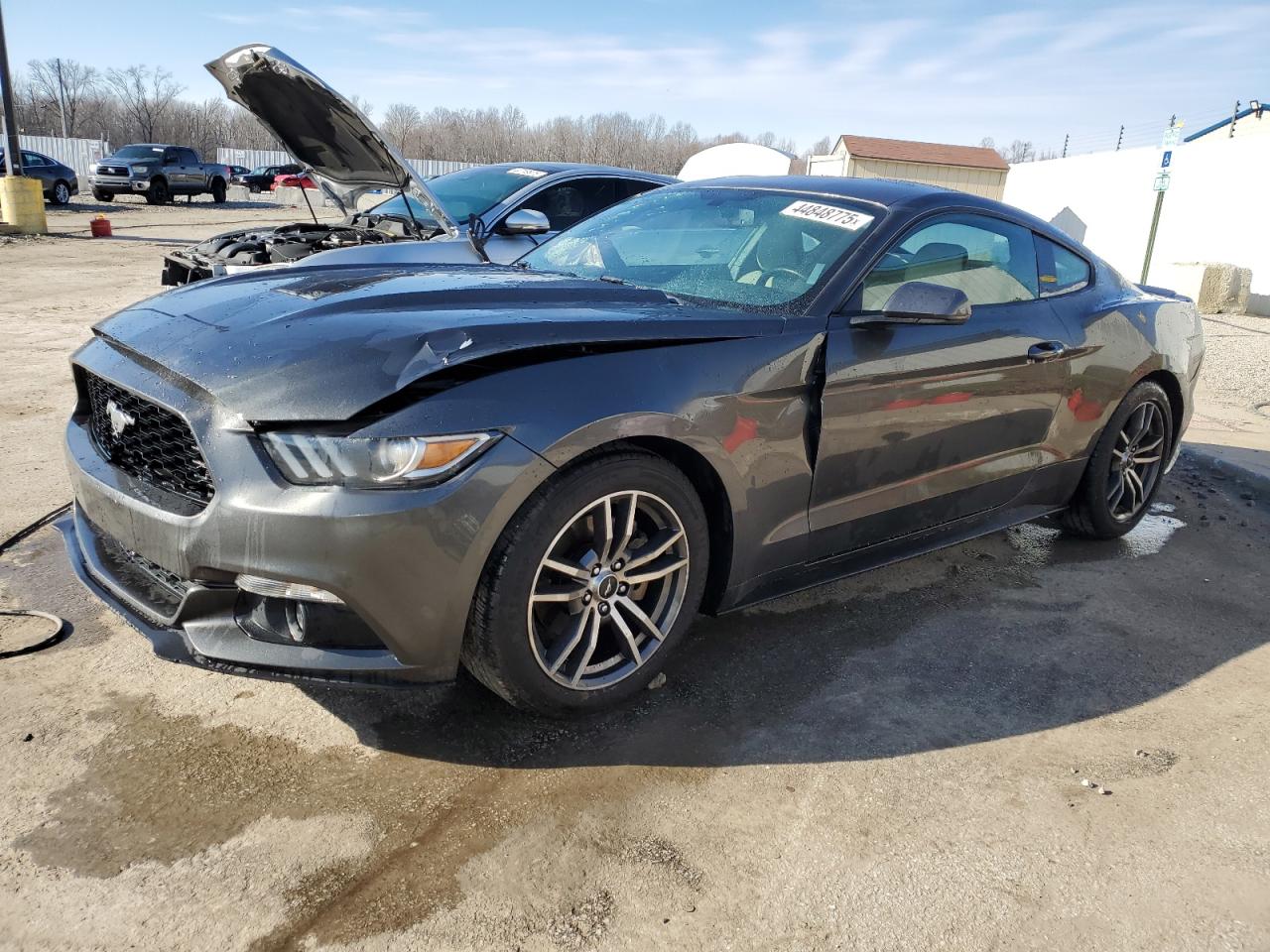 FORD MUSTANG 2016