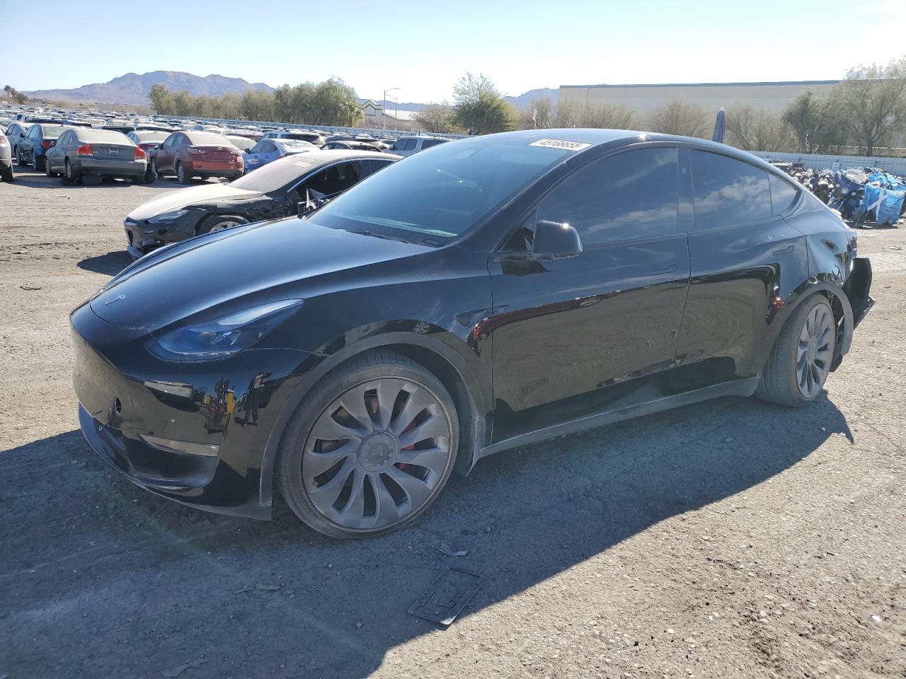 TESLA MODEL Y 2023