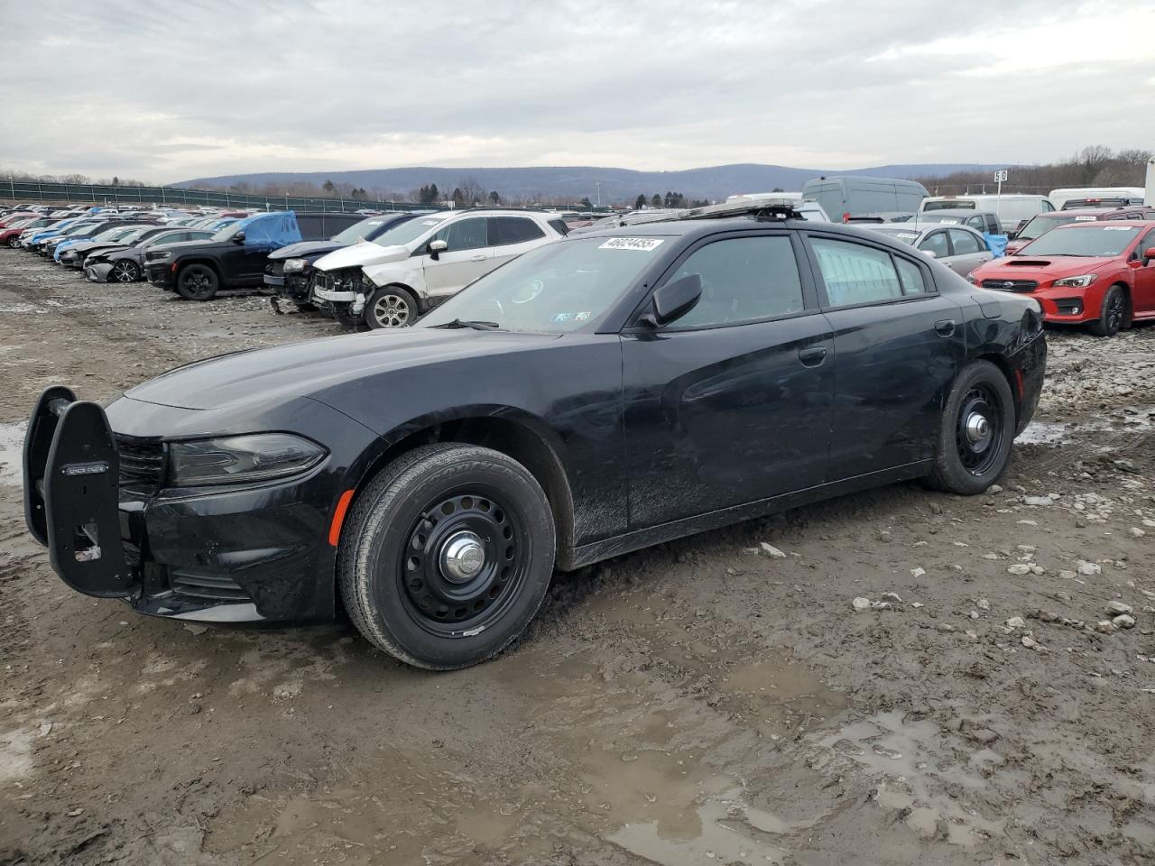 DODGE CHARGER PO 2023