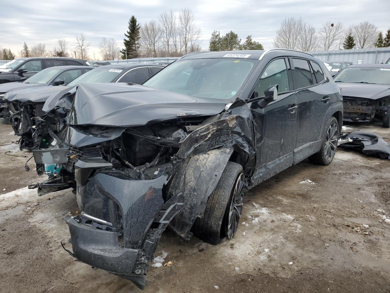 MAZDA CX-50 PREM 2024