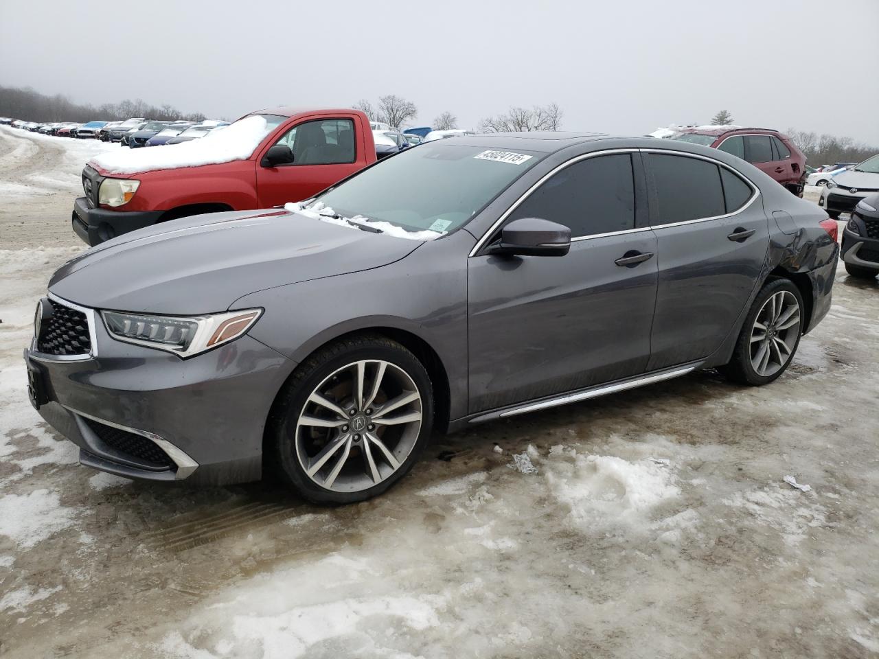 ACURA TLX TECHNO 2019