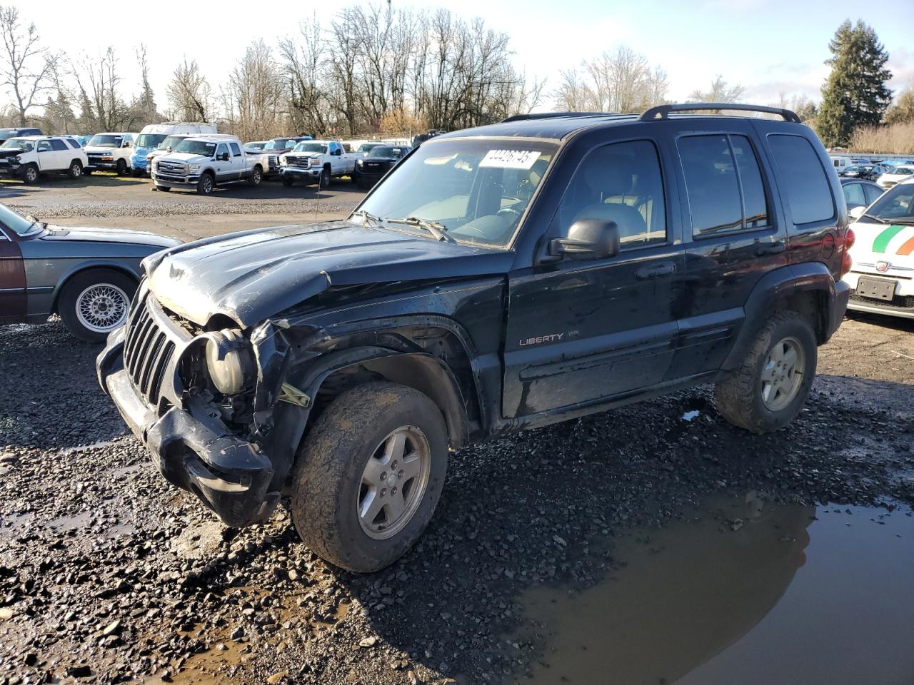 JEEP LIBERTY LI 2002