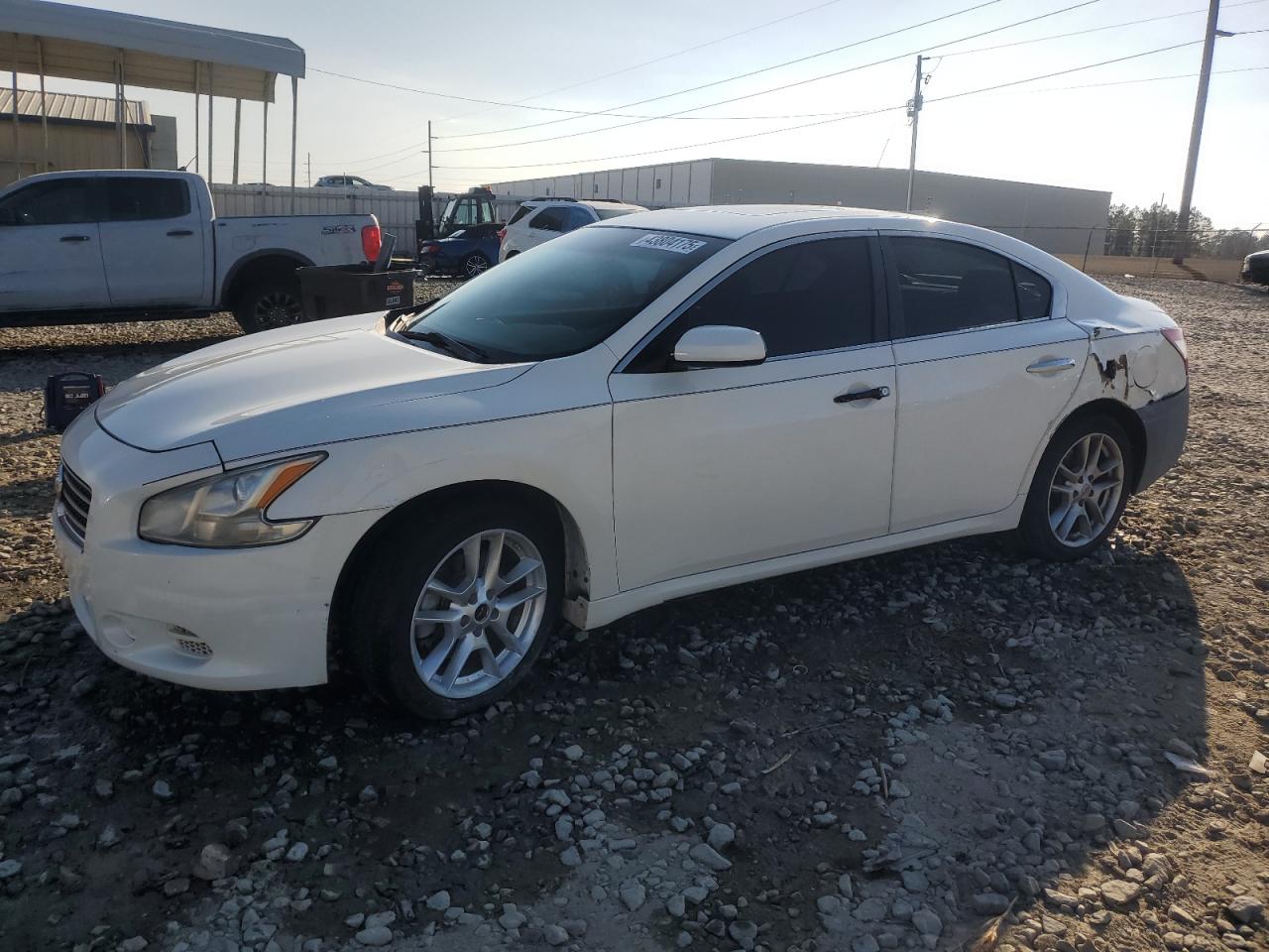 NISSAN MAXIMA S 2011