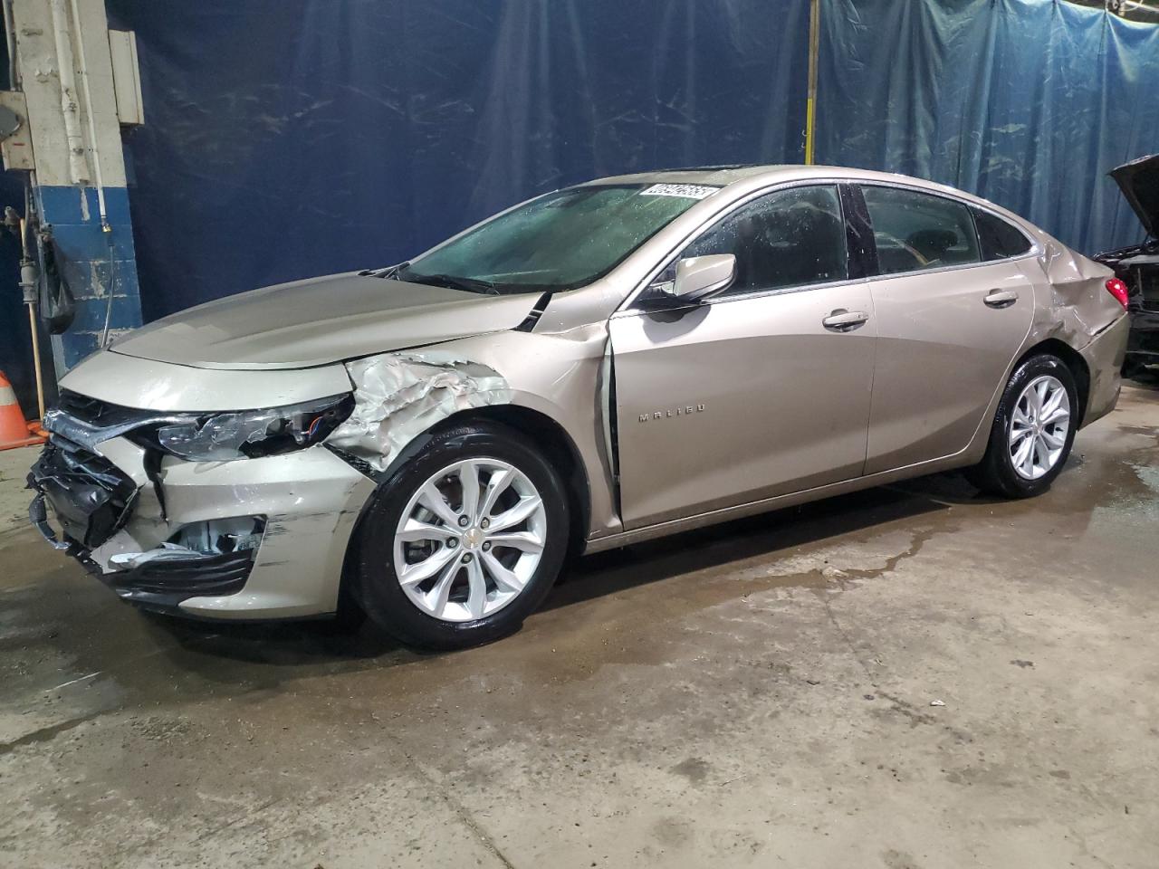 CHEVROLET MALIBU LT 2024