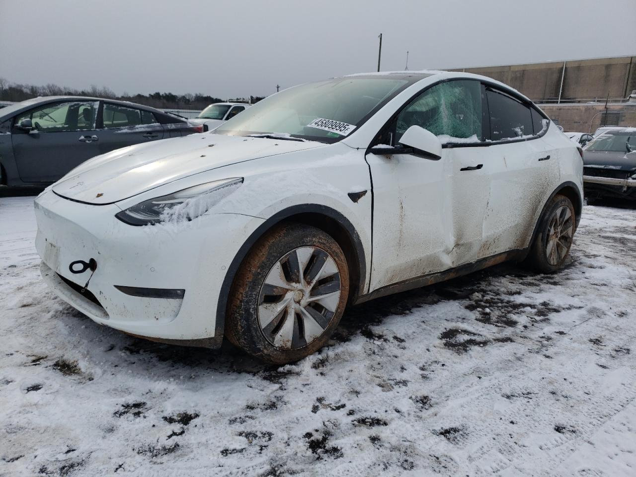 TESLA MODEL Y 2022