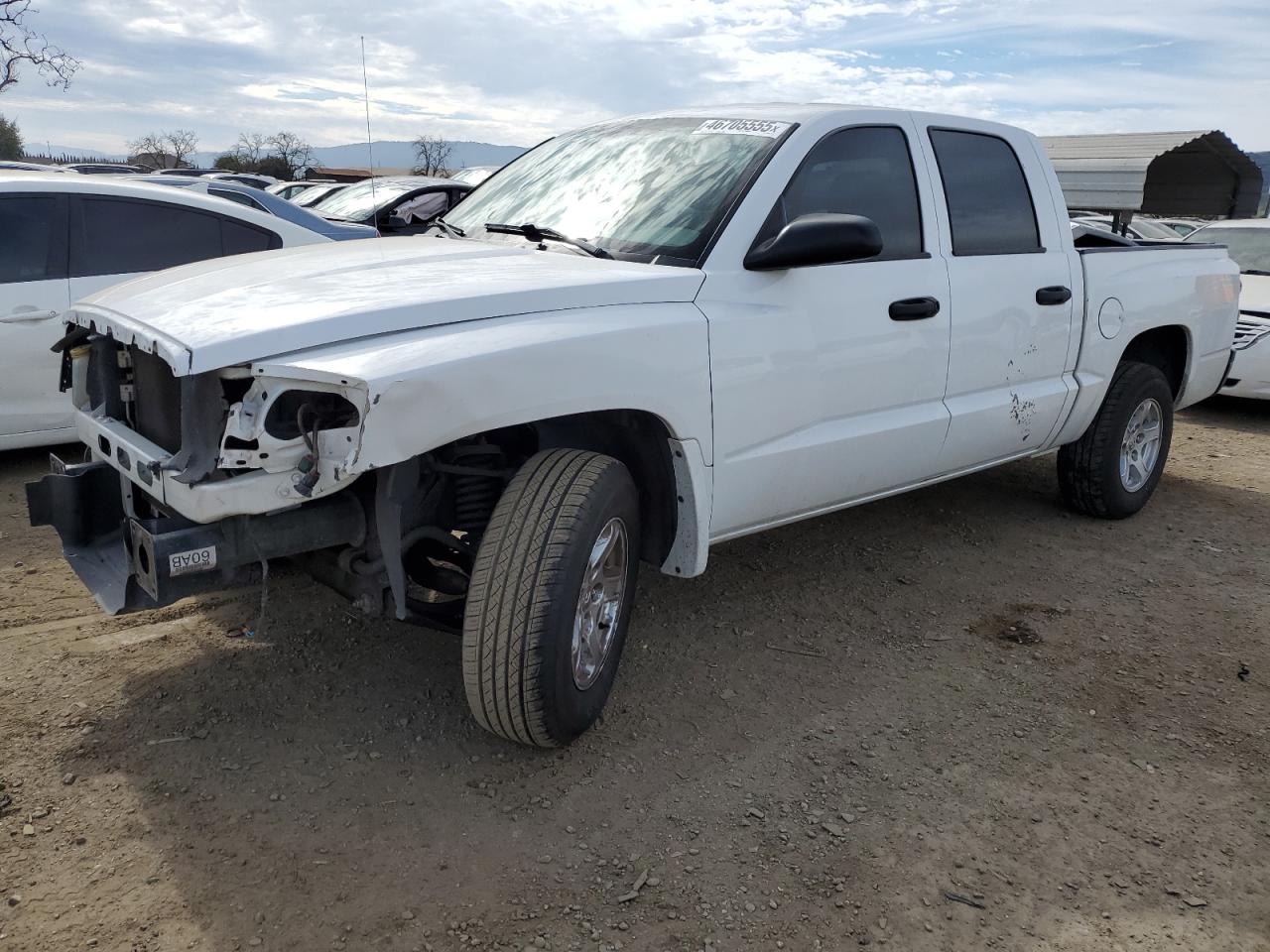DODGE DAKOTA QUA 2005