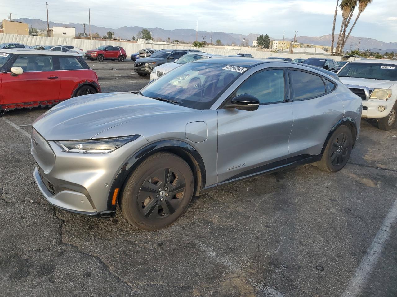 FORD MUSTANG MA 2021
