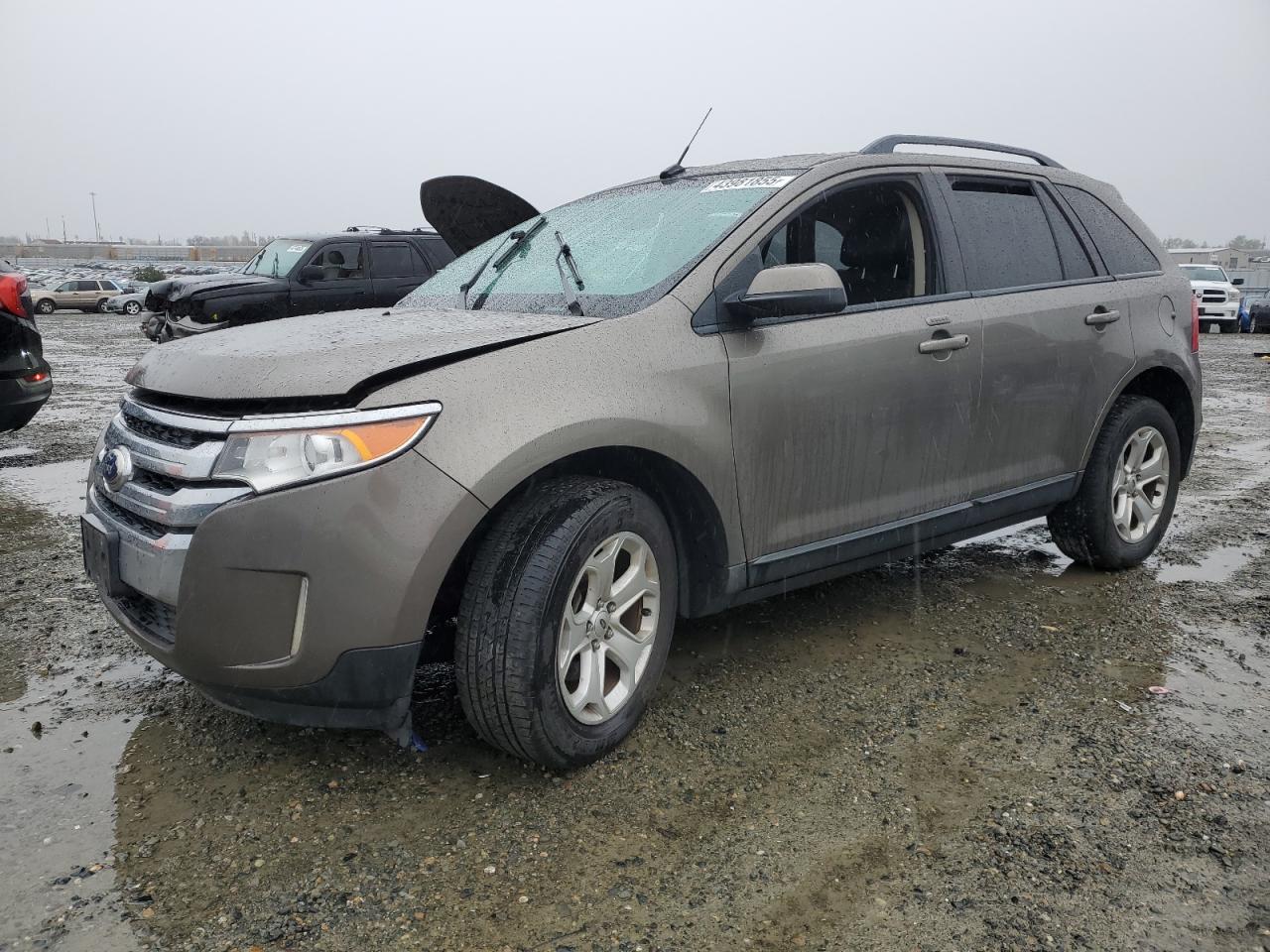 FORD EDGE SEL 2014