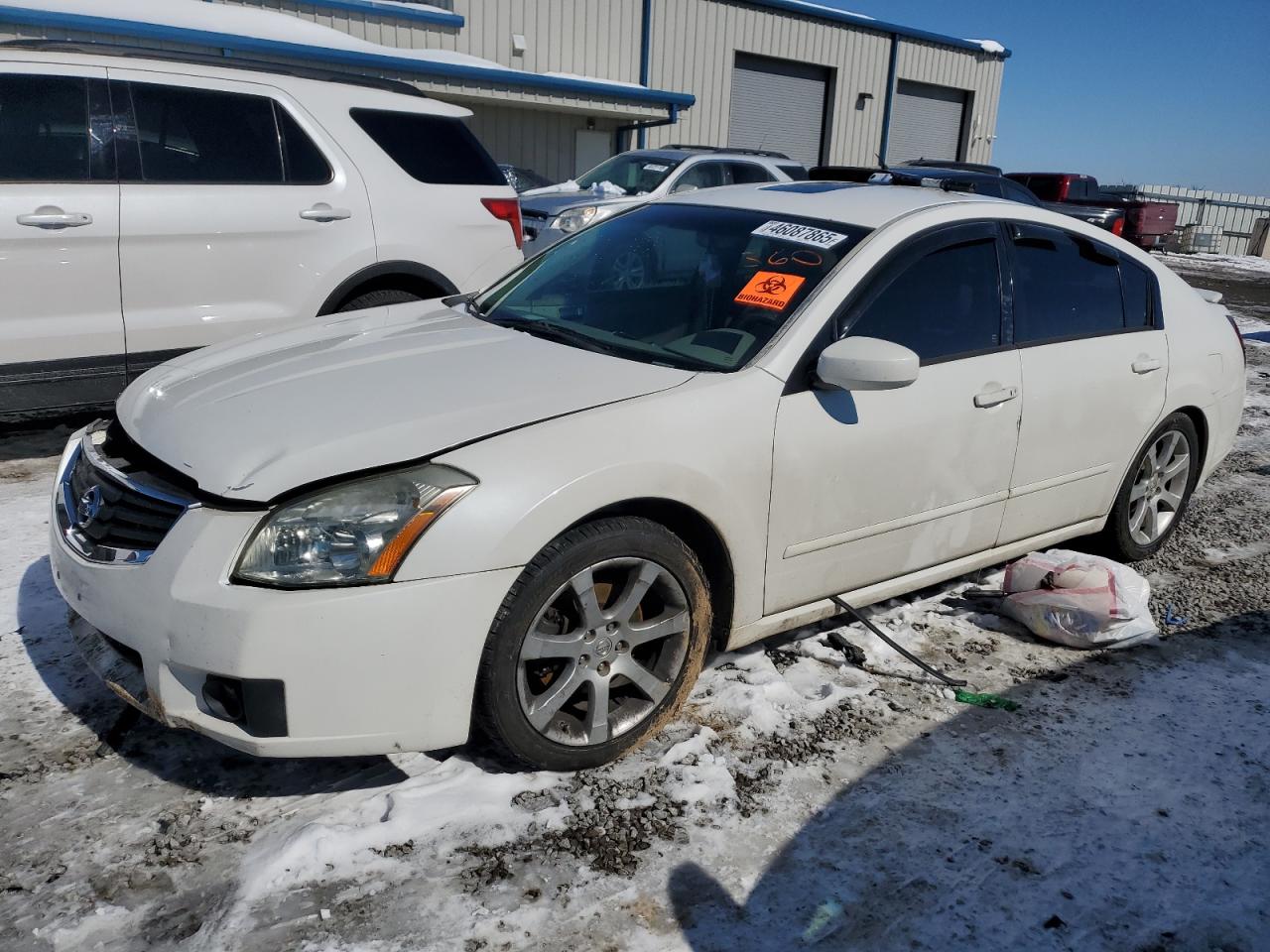 NISSAN MAXIMA SE 2007
