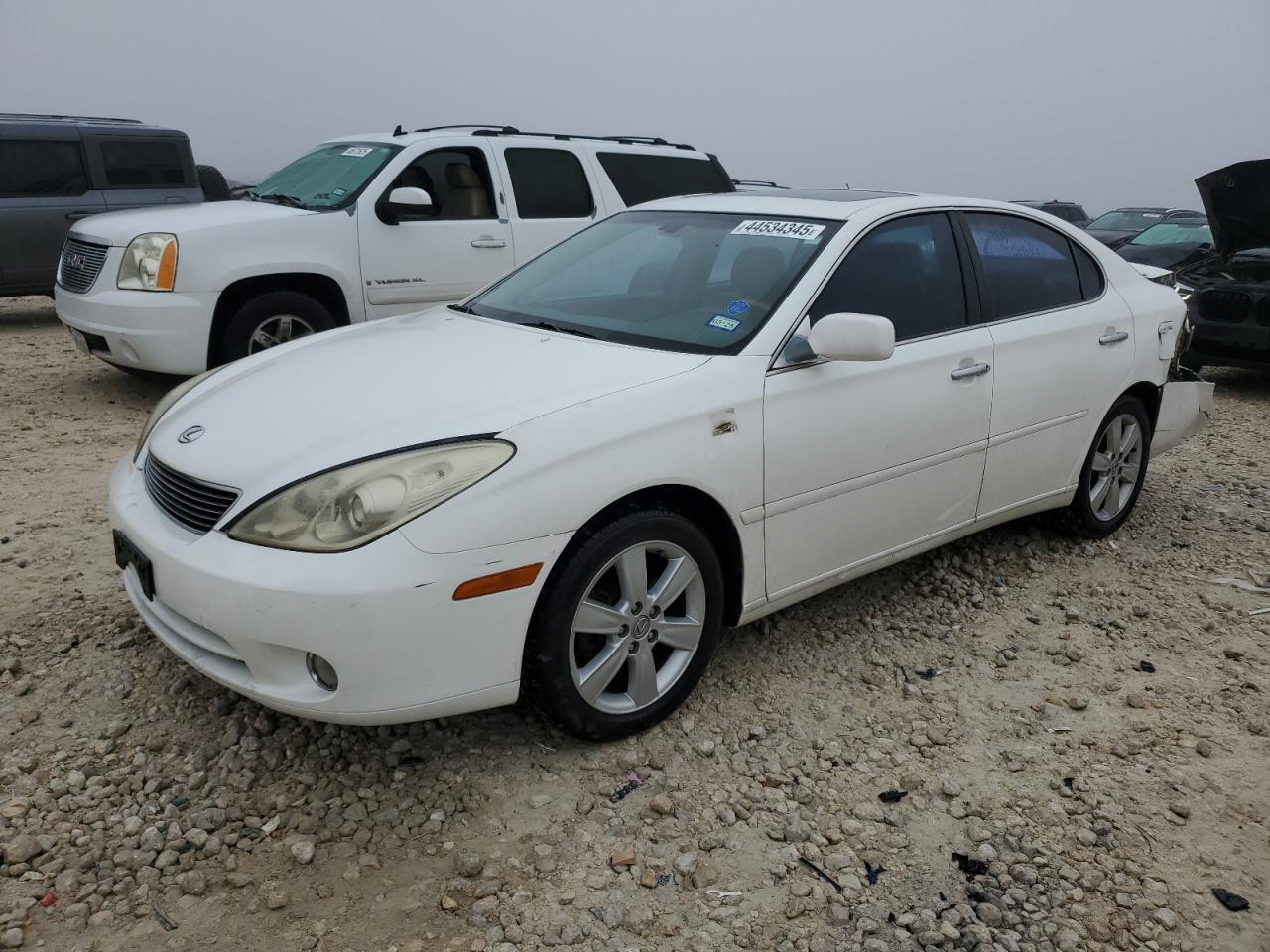 LEXUS ES 330 2005