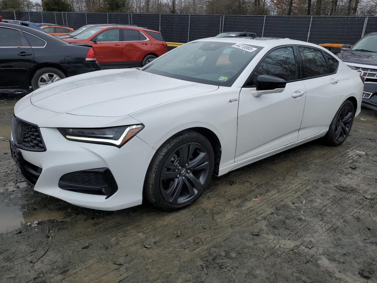 ACURA TLX A-SPEC 2023