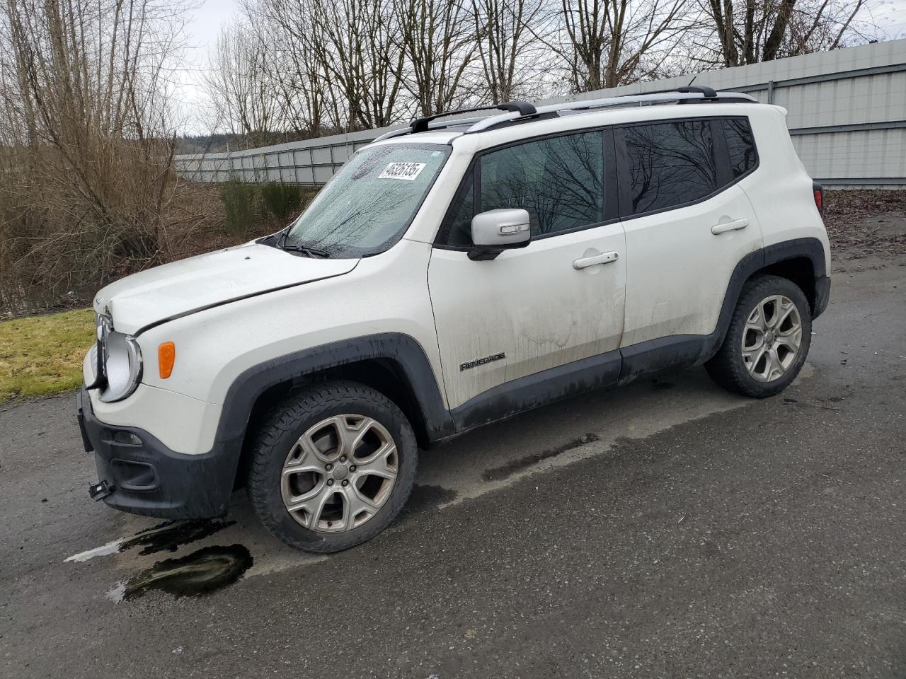 JEEP RENEGADE L 2017