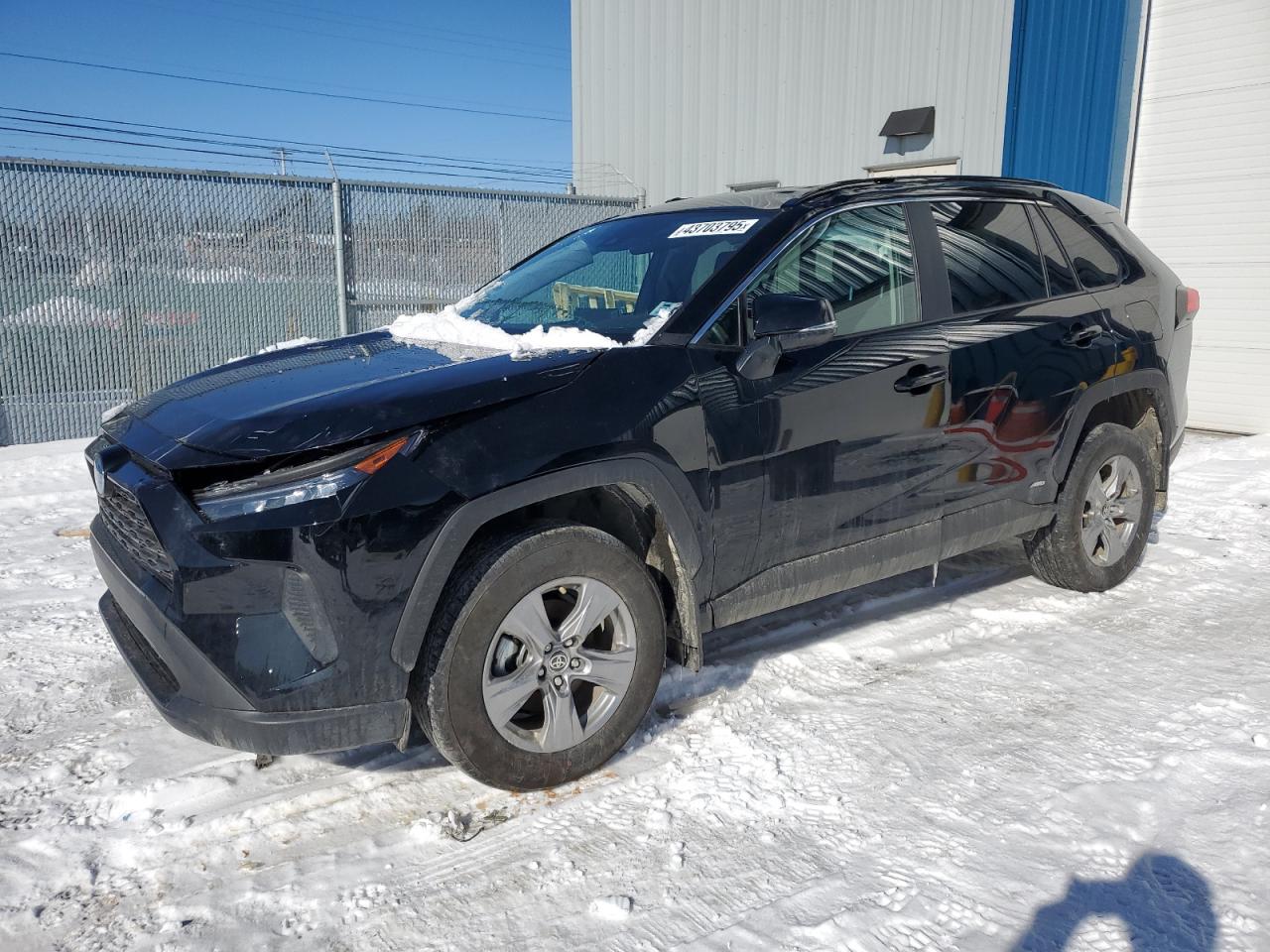 TOYOTA RAV4 LE 2024