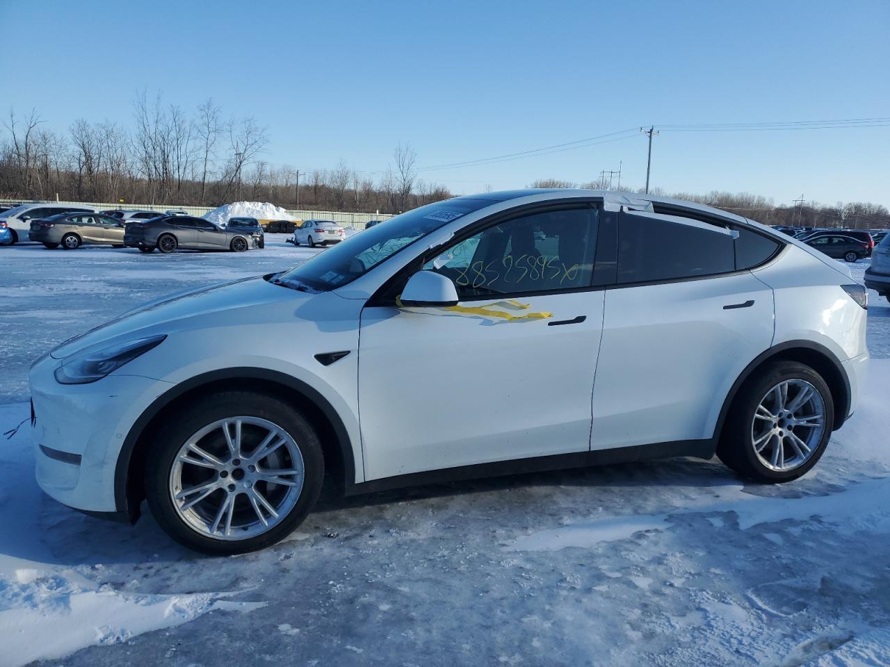 TESLA MODEL Y 2021