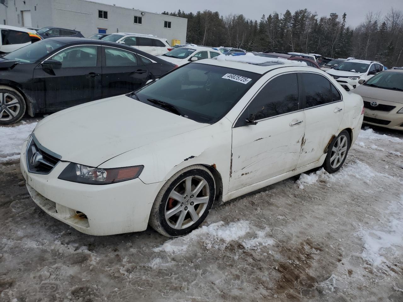 ACURA TSX 2005