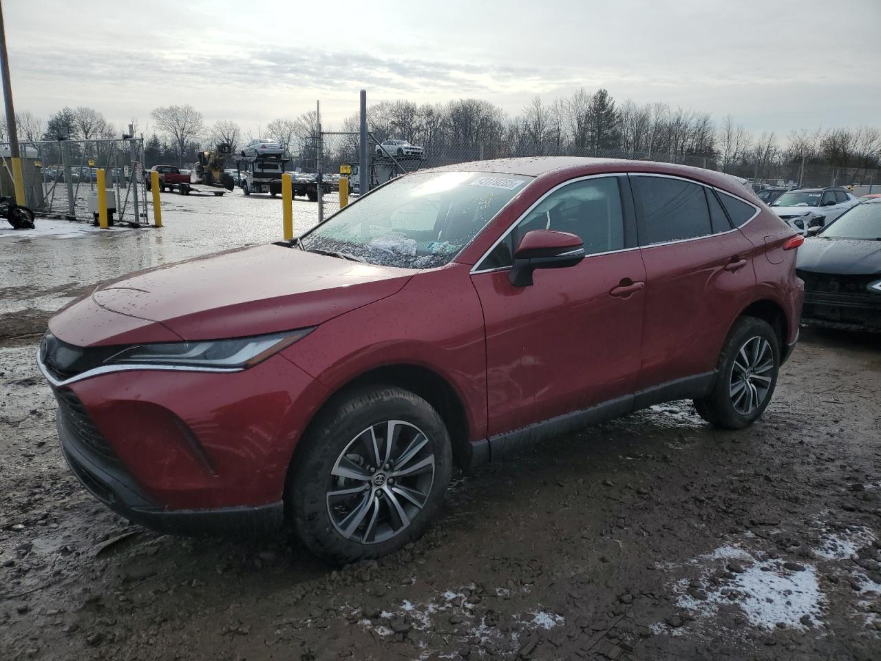 TOYOTA VENZA LE 2024