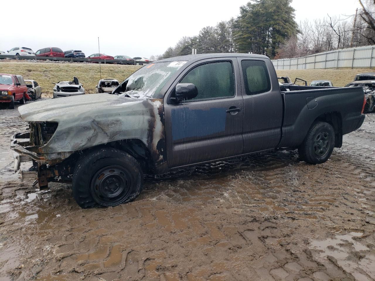 TOYOTA TACOMA ACC 2015
