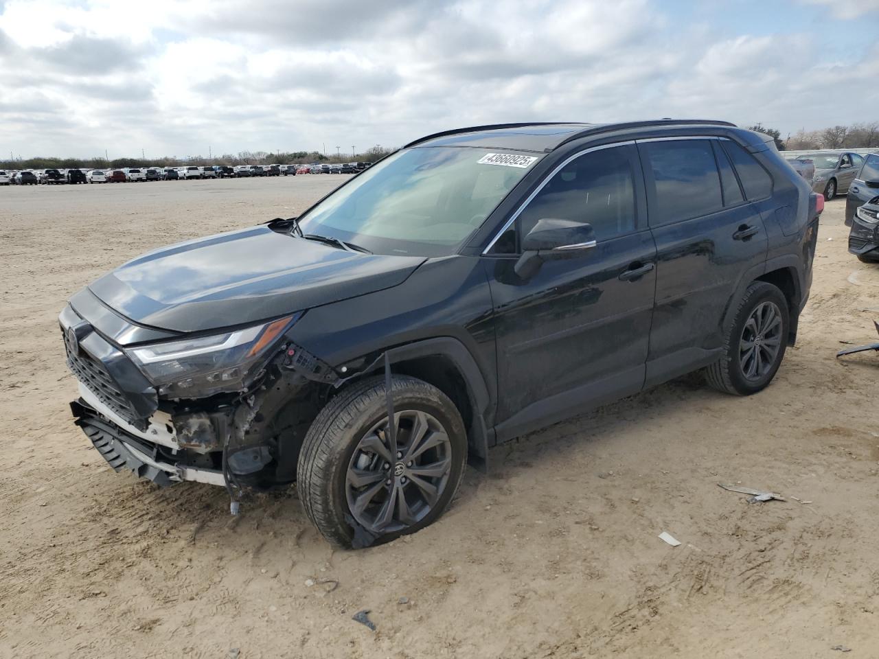 TOYOTA RAV4 XLE P 2024