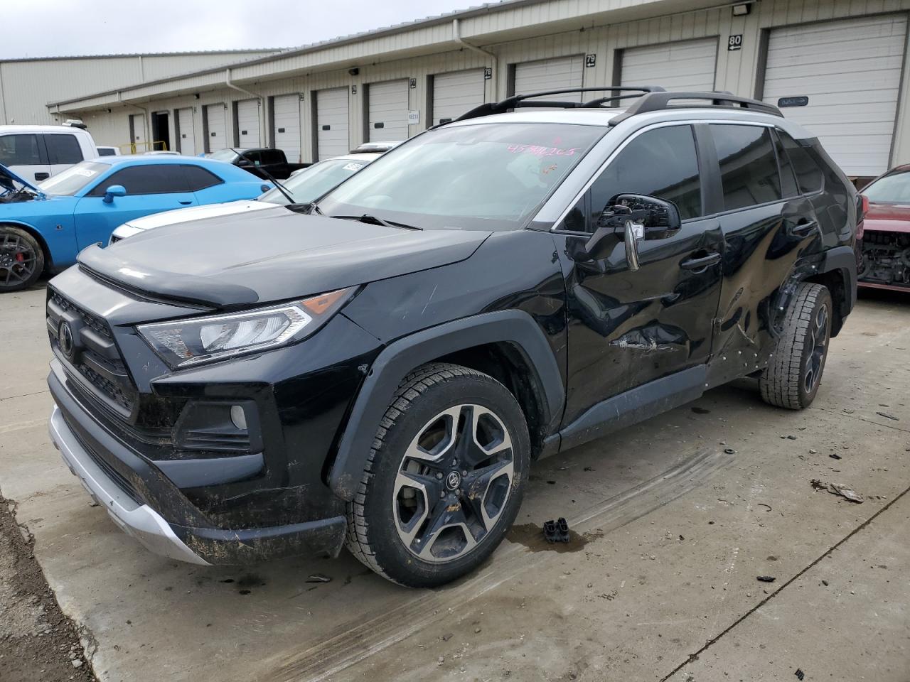 TOYOTA RAV4 ADVEN 2019