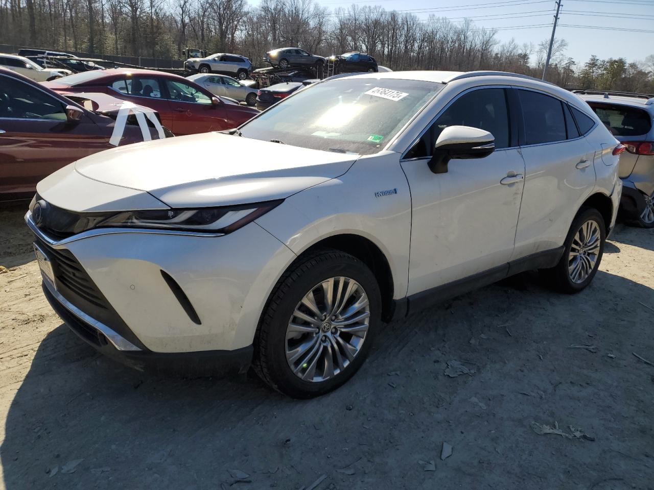 TOYOTA VENZA LE 2021