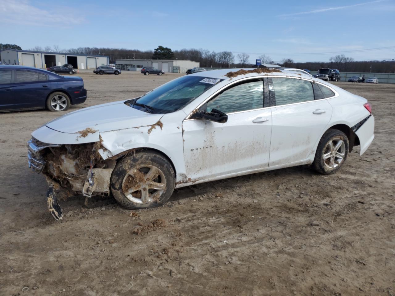CHEVROLET MALIBU LS 2024