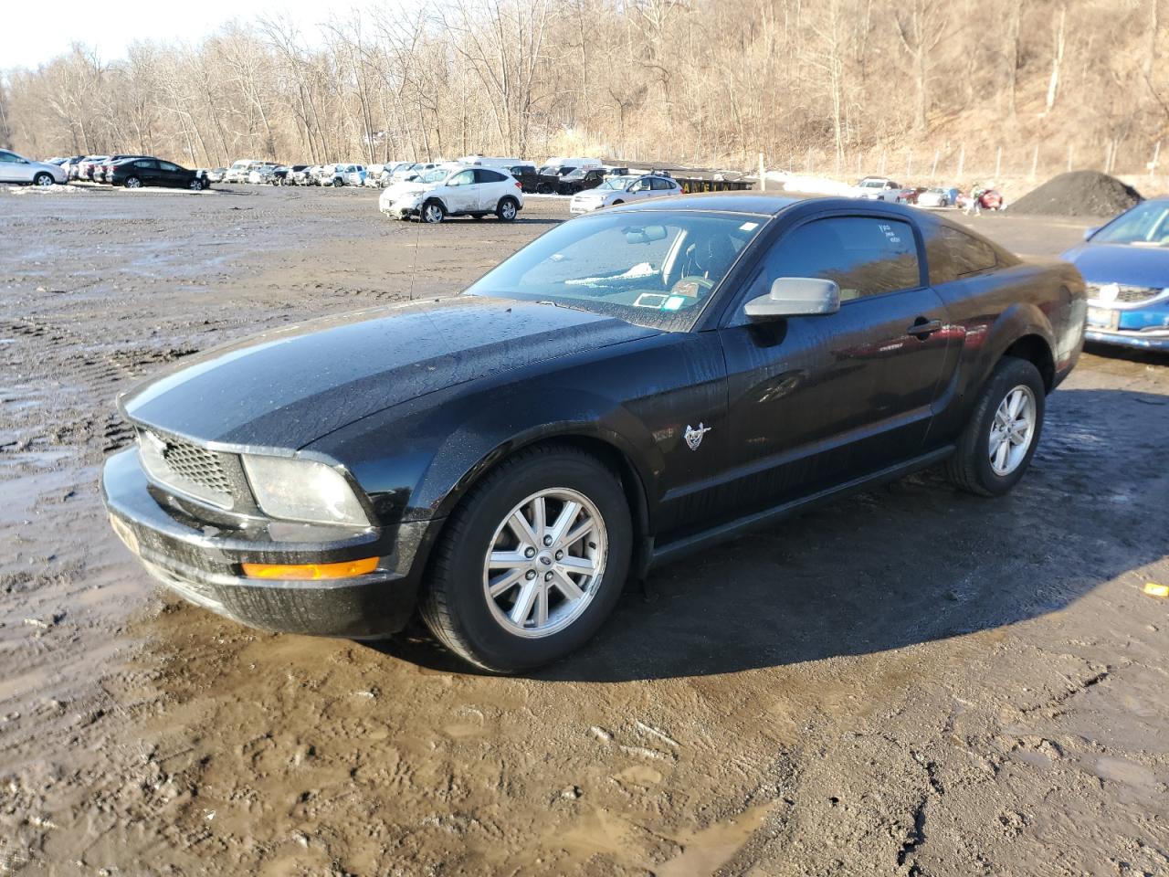 FORD MUSTANG 2009