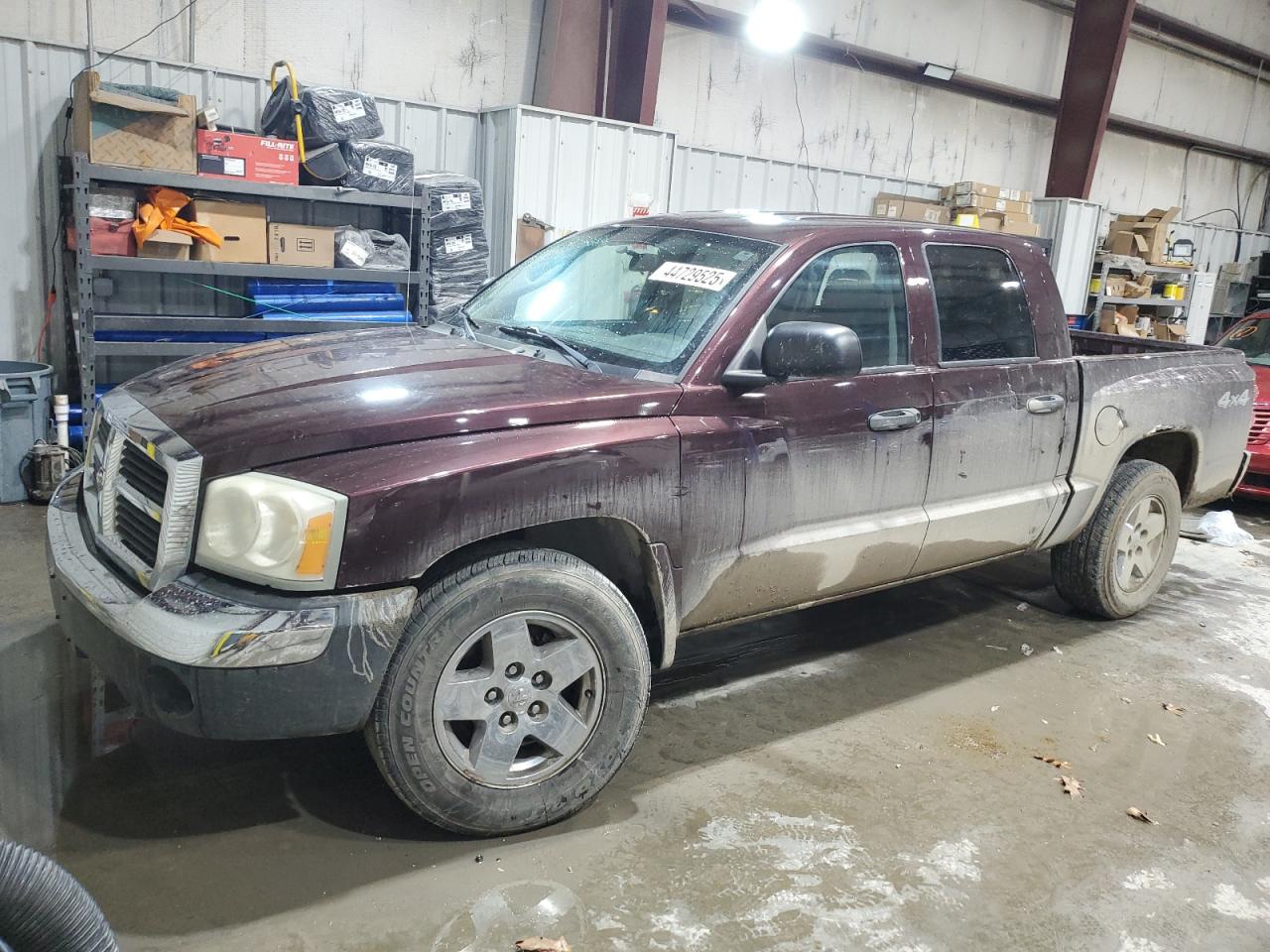 DODGE DAKOTA QUA 2005