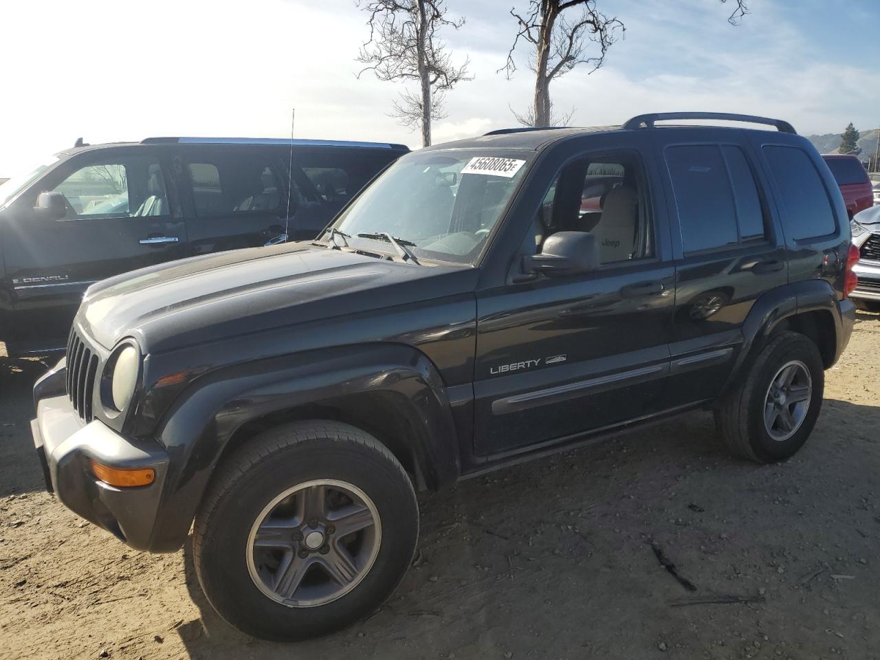 JEEP LIBERTY SP 2004