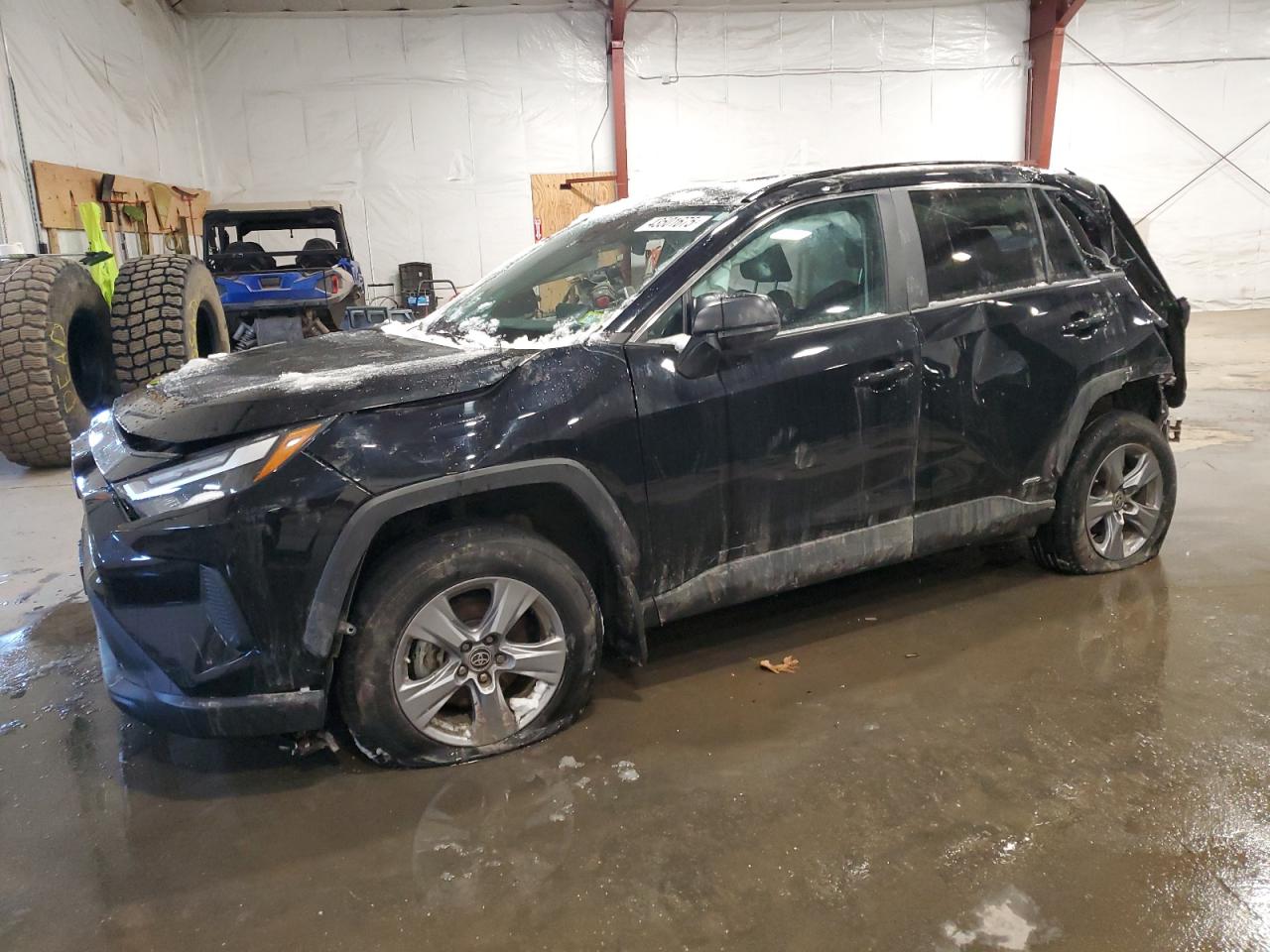 TOYOTA RAV4 LE 2024