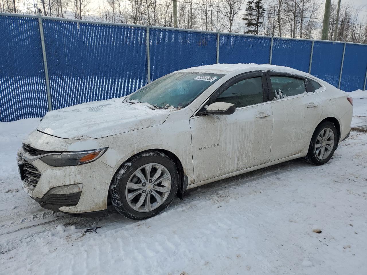 CHEVROLET MALIBU LT 2022