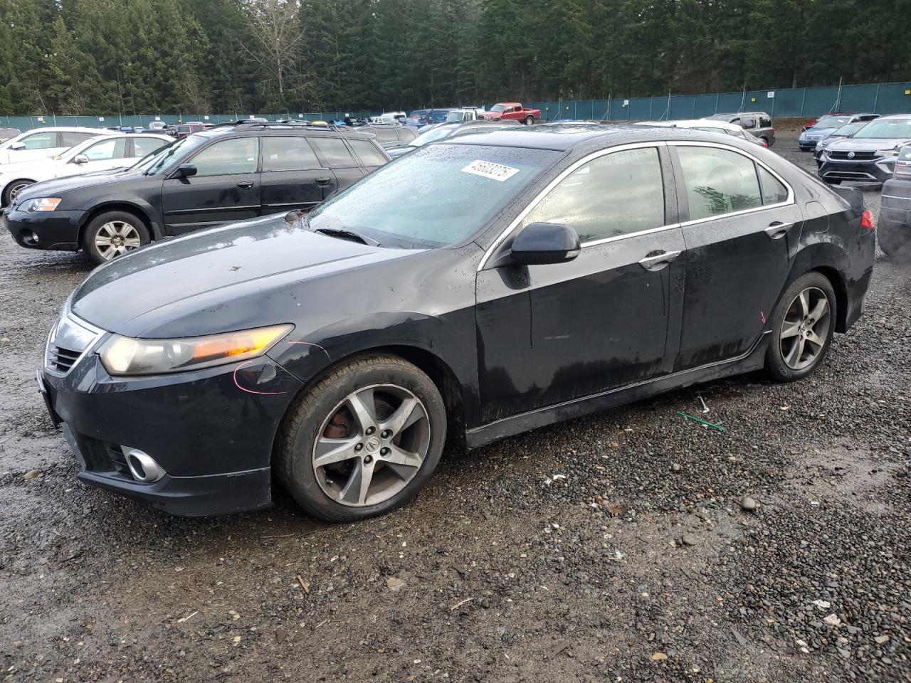 ACURA TSX SE 2012