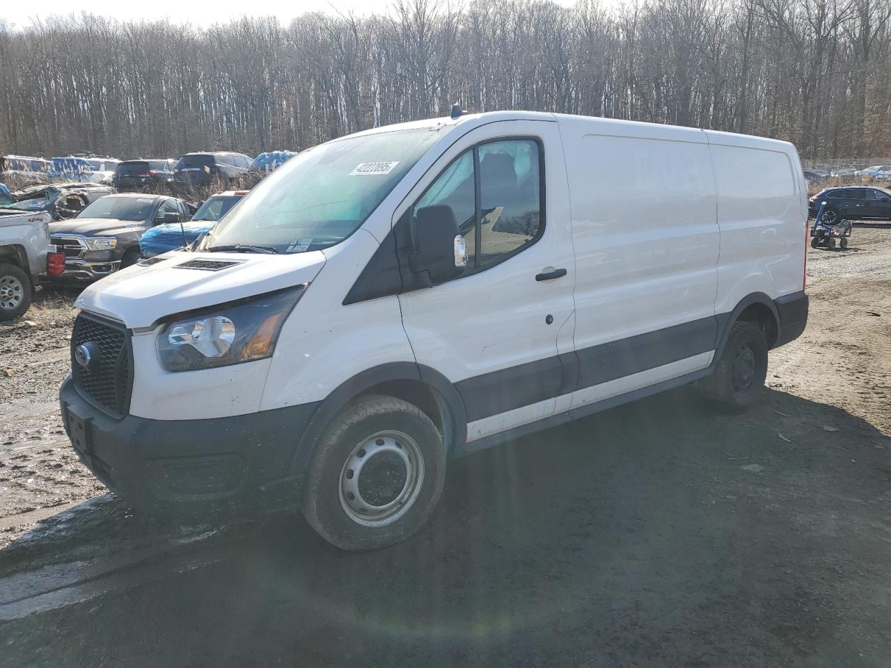 FORD TRANSIT T- 2023