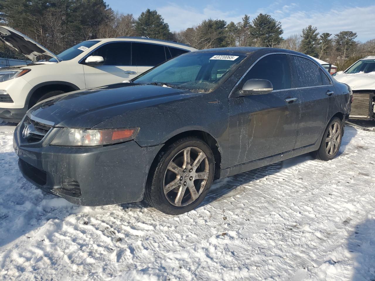 ACURA TSX 2005