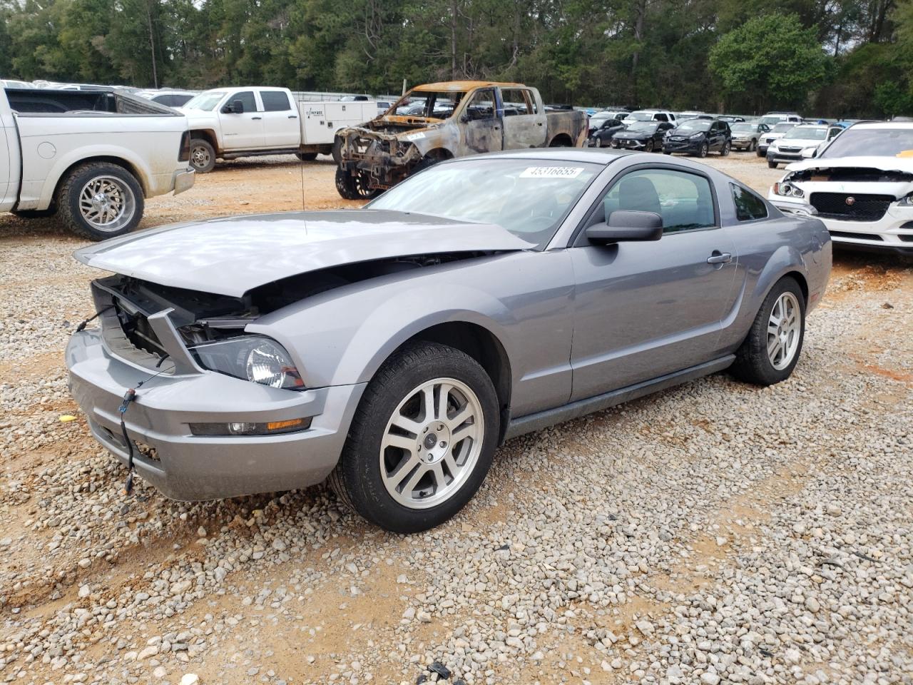 FORD MUSTANG 2D 2006