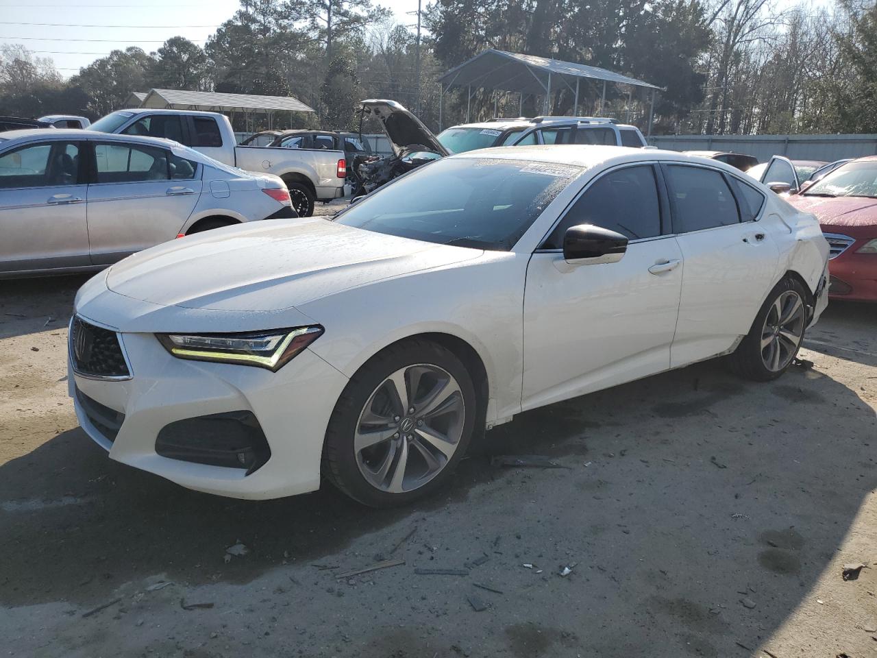 ACURA TLX ADVANC 2021