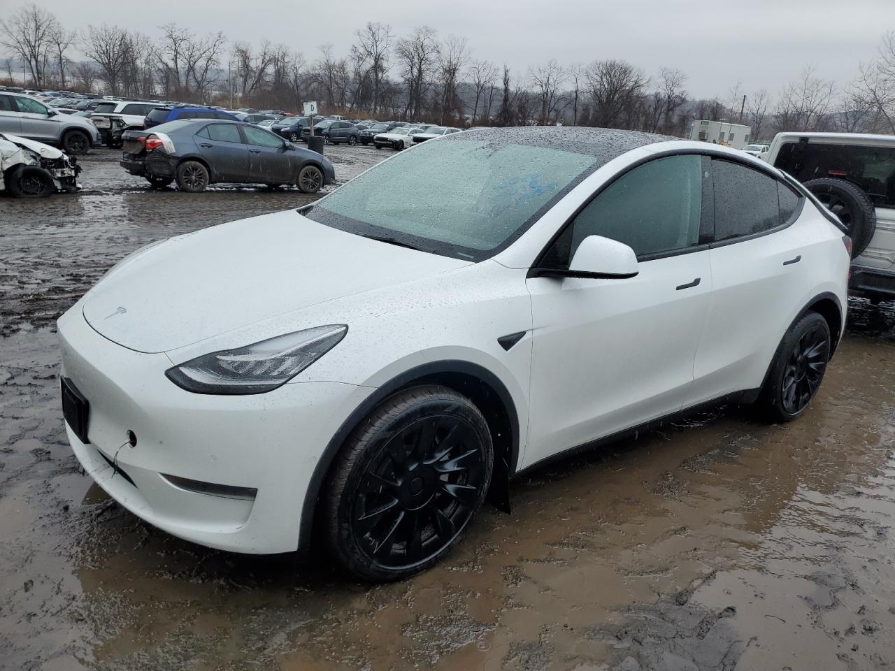 TESLA MODEL Y 2022