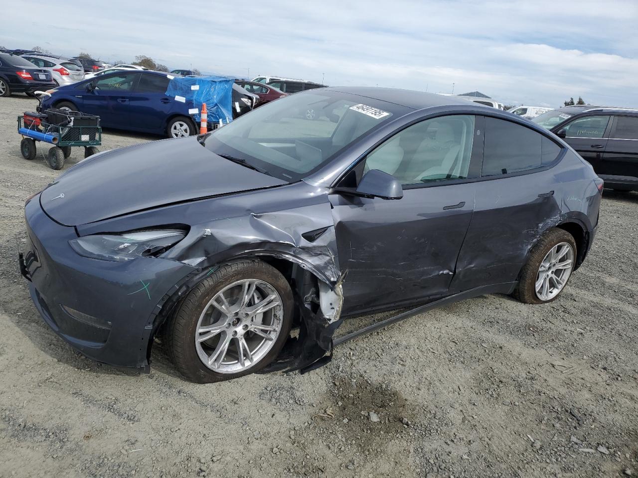 TESLA MODEL Y 2023