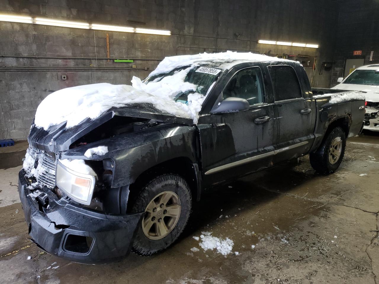 DODGE DAKOTA QUA 2008