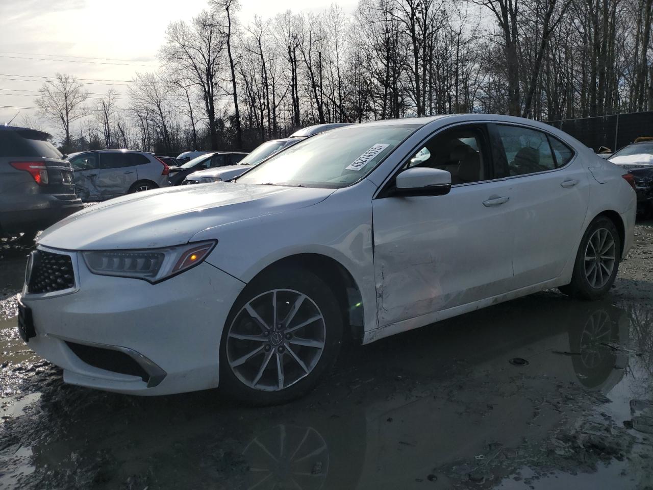 ACURA TLX TECHNO 2020