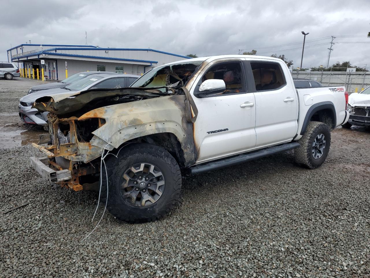 TOYOTA TACOMA DOU 2019