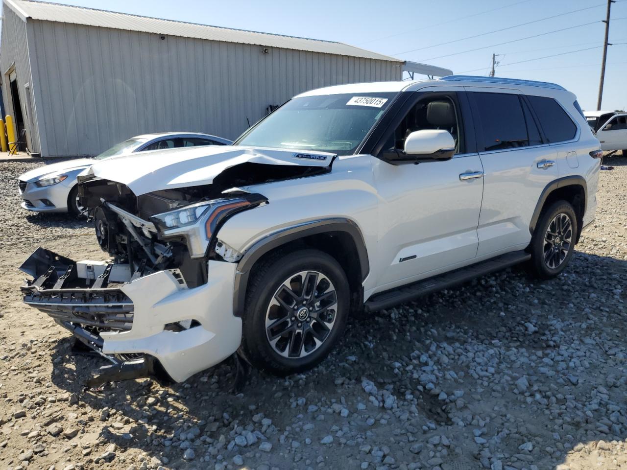 TOYOTA SEQUOIA SR 2024