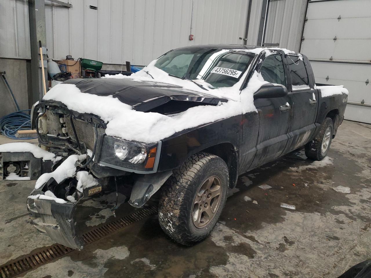 DODGE DAKOTA QUA 2006