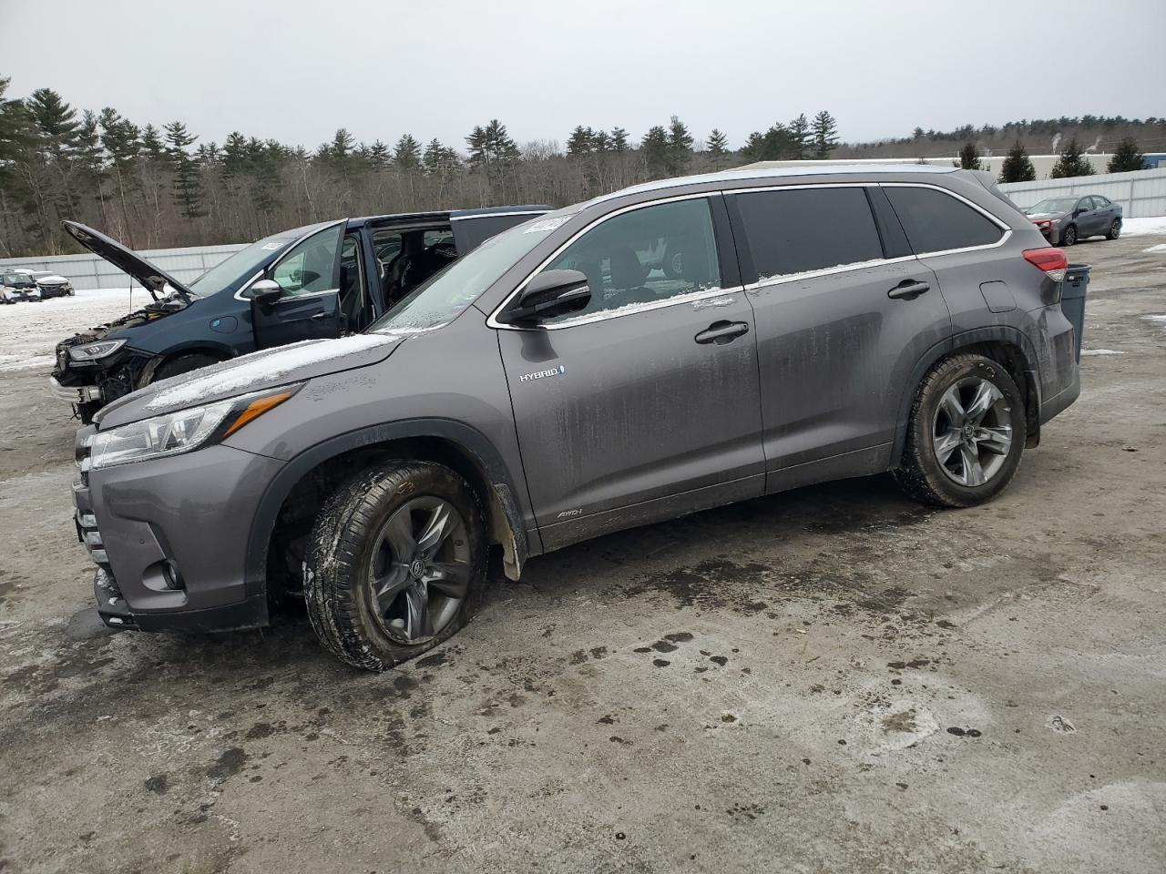 TOYOTA HIGHLANDER 2019