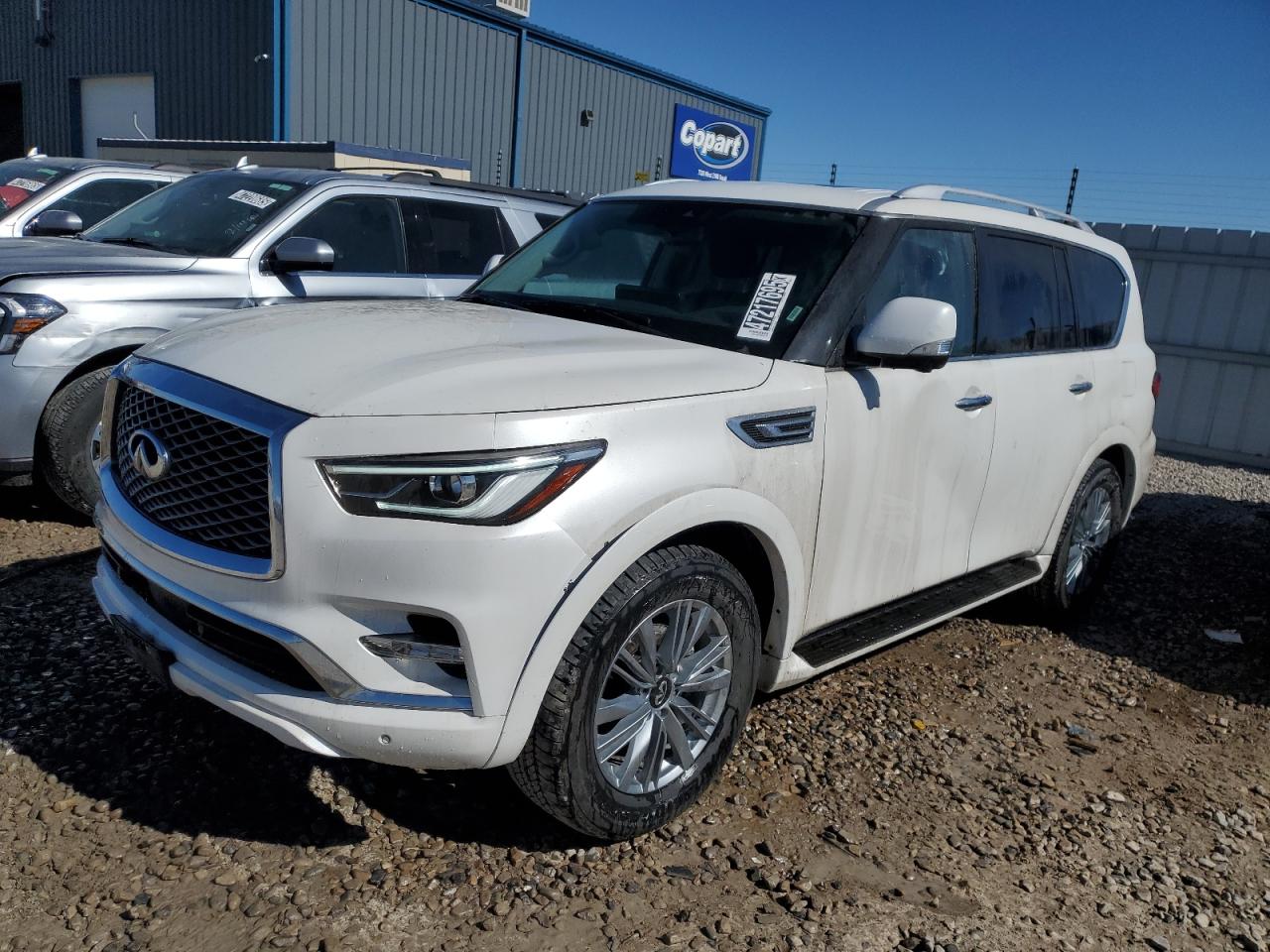 INFINITI QX80 LUXE 2024