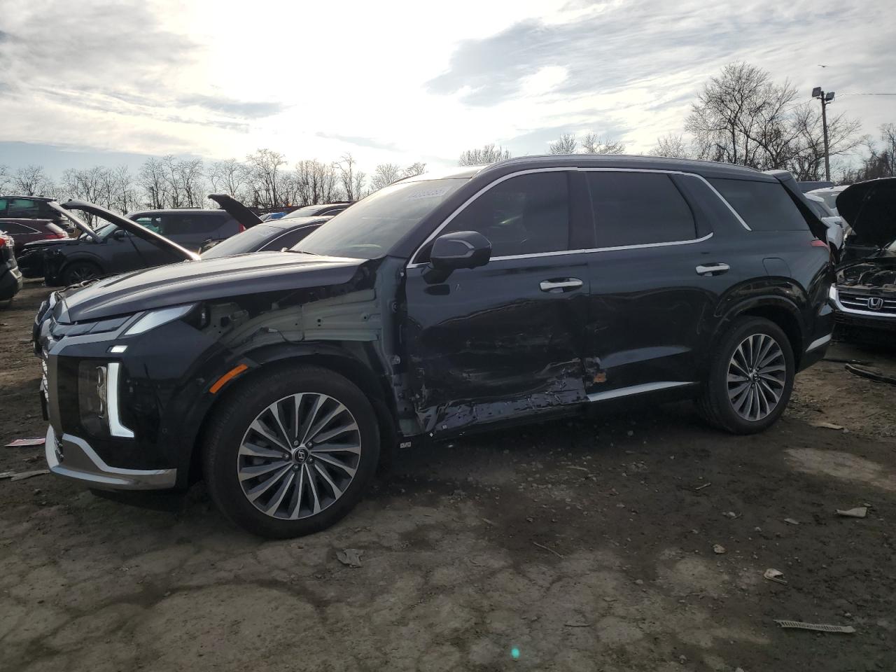 HYUNDAI PALISADE C 2024