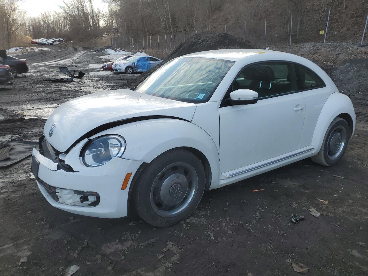 VOLKSWAGEN BEETLE 2012