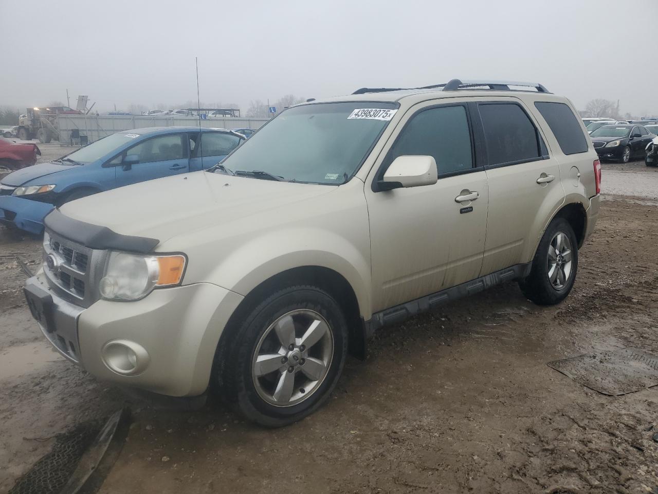 FORD ESCAPE LIM 2011
