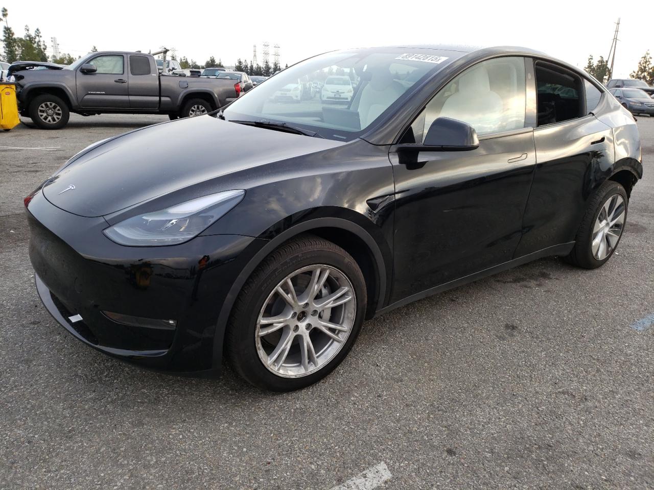 TESLA MODEL Y 2023